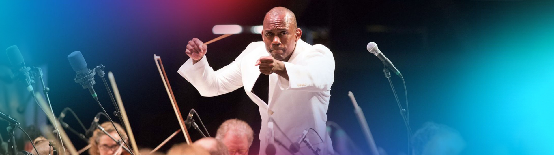 Louisville Orchestra banner image