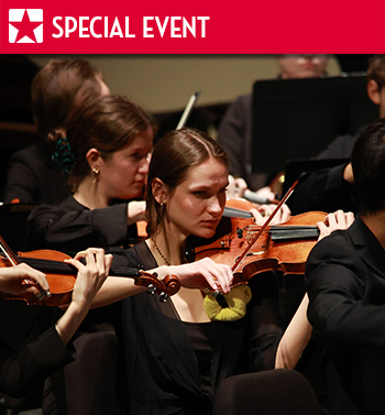 A group of musicians in black attire perform with violins in a concert setting, creating a harmonious atmosphere.
